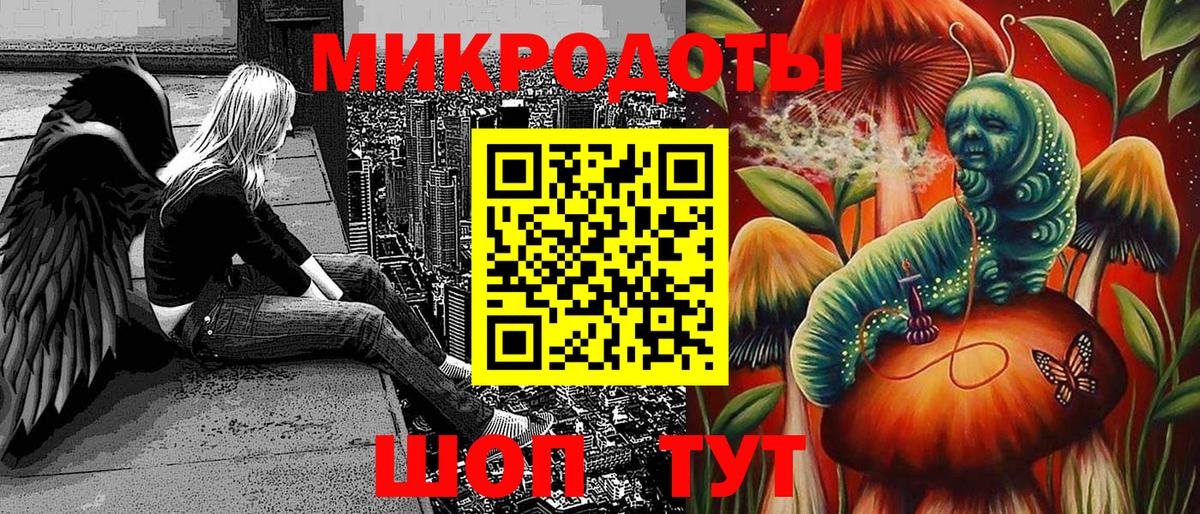 Галлюциногенные грибы Psilocybe Алейск
