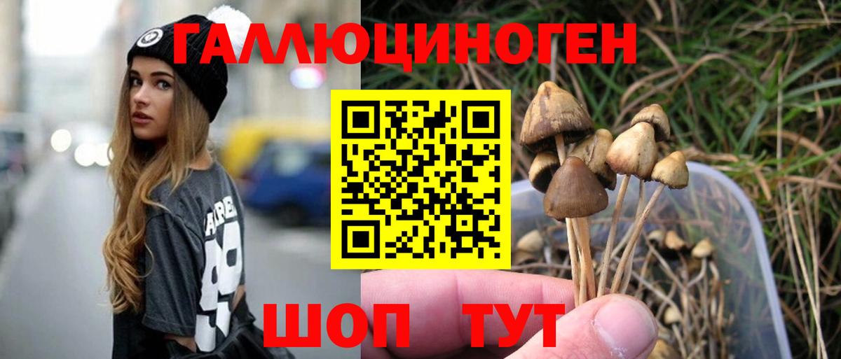 Алейск  Галлюциногенные грибы MAGIC MUSHROOMS  Вход с VPN 